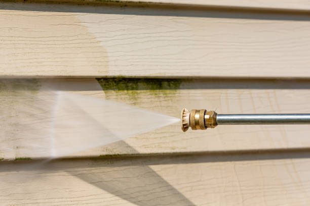 Best Best Pressure Washing Companies  in Cave City, KY